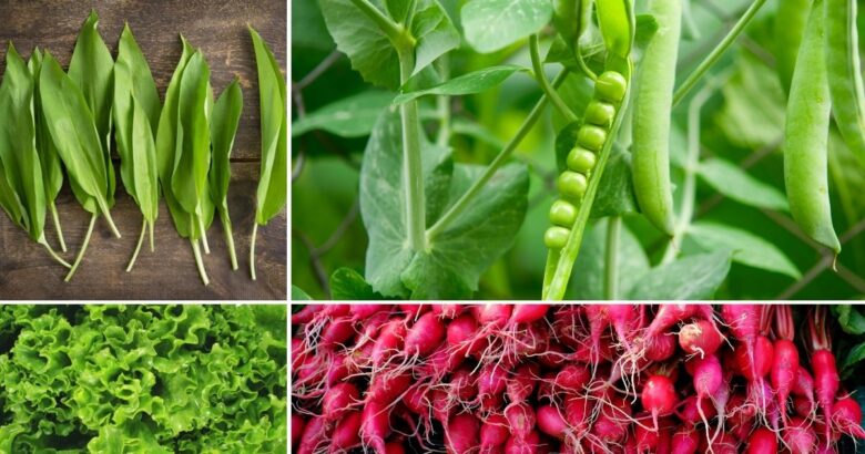 Jönnek az idényzöldségek, fogyasszuk őket bátran!