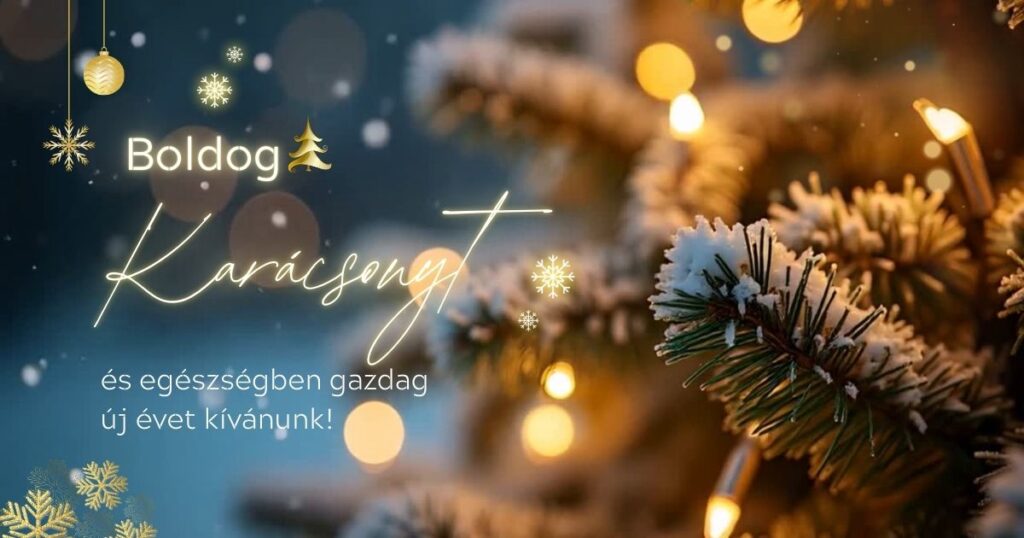 Karácsonyi üdvözlet 2025