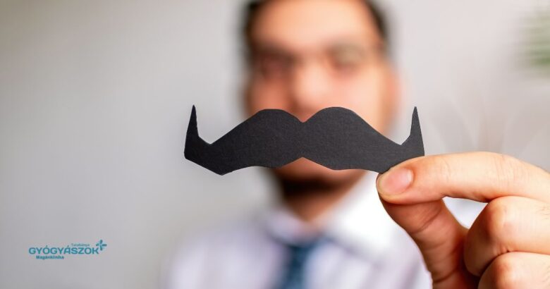 Ha november, akkor Movember