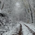 Téli túra: kellő odafigyelést igényel